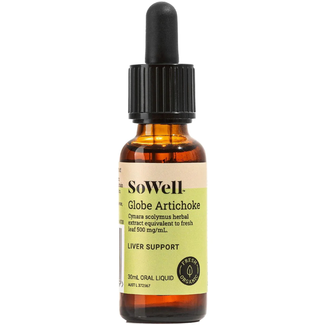 SoWell Globe Artichoke - Body Beyond Belief