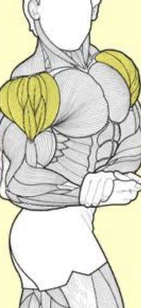 Thumbnail for Shoulder Workout