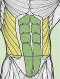 Thumbnail for Abs Workout